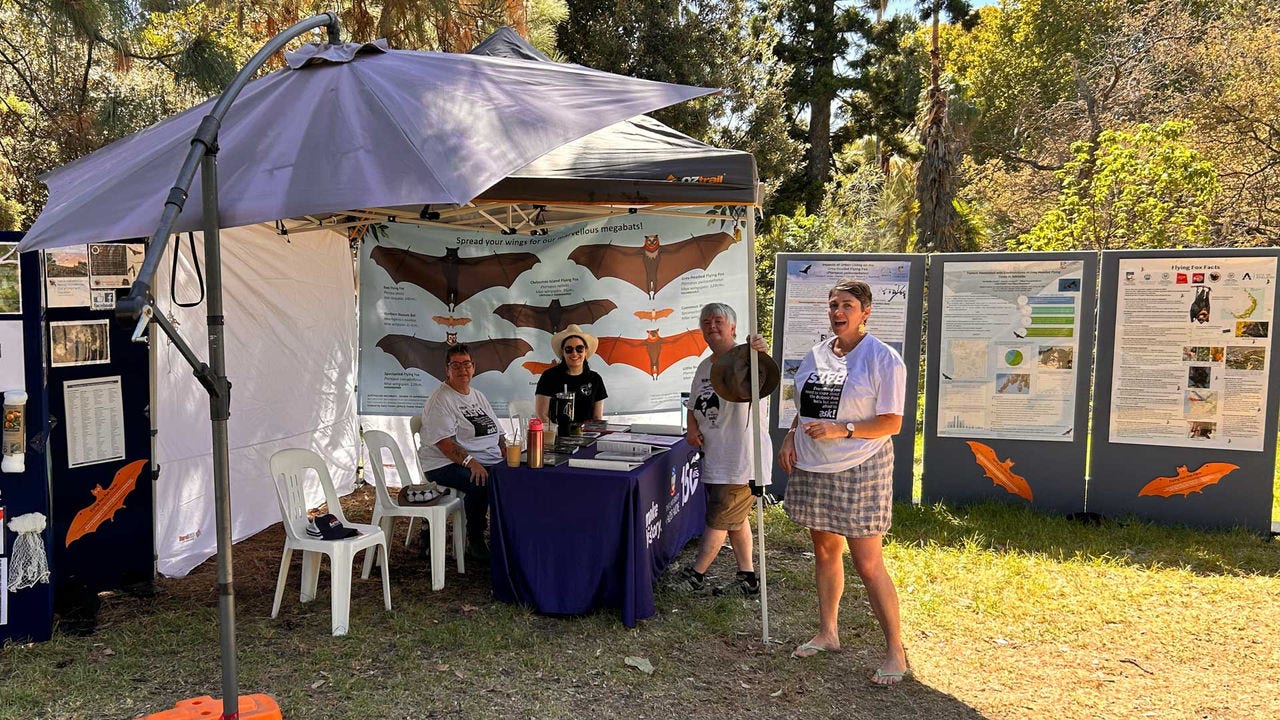 The Bat Tent at WOMADelaide