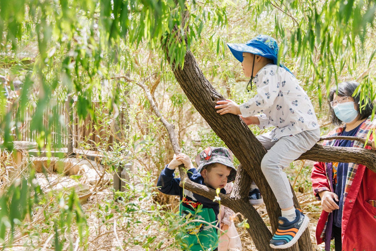Pilyabilyangga and the Adventure Playground