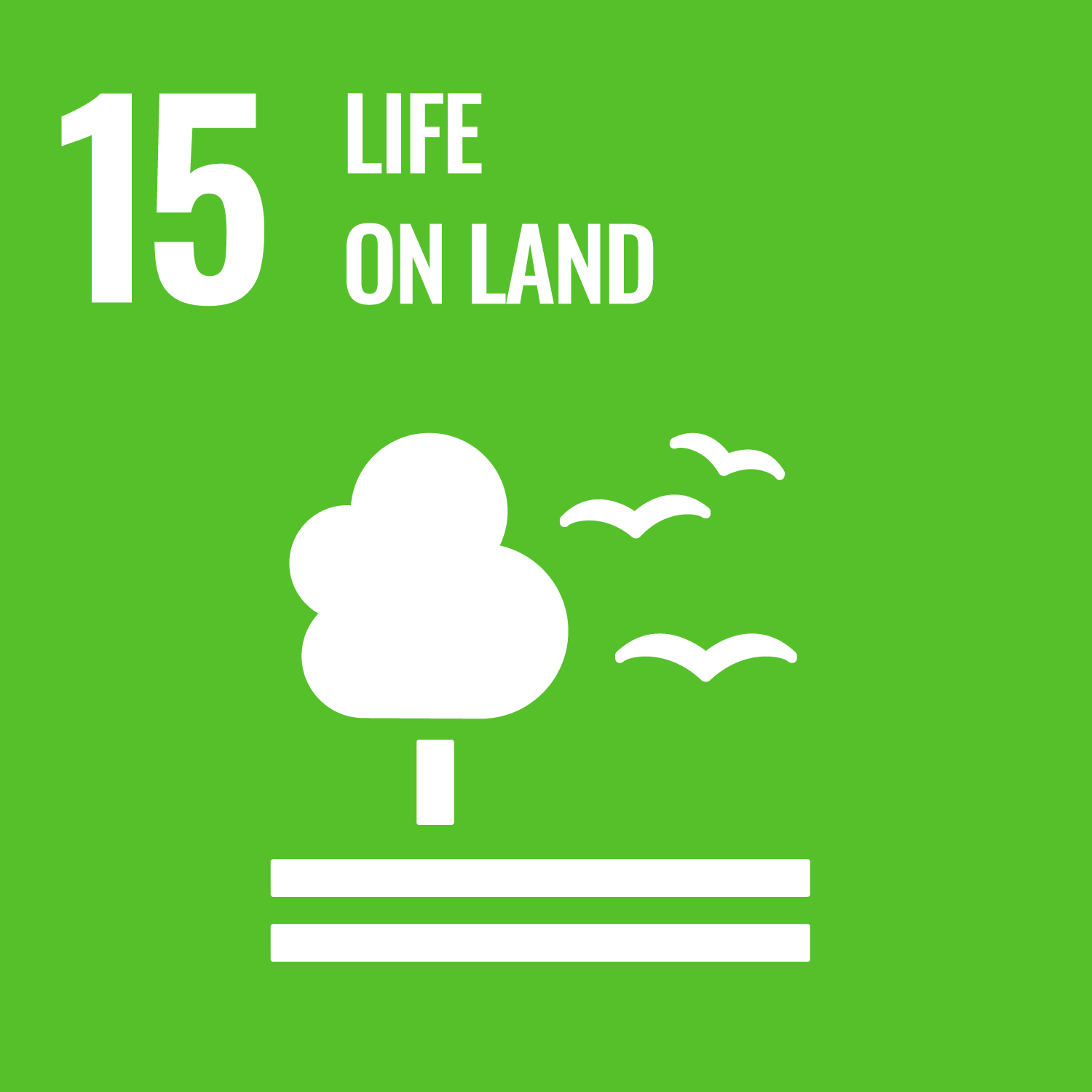 UN Sustainability Development Goal 15 - Life on land