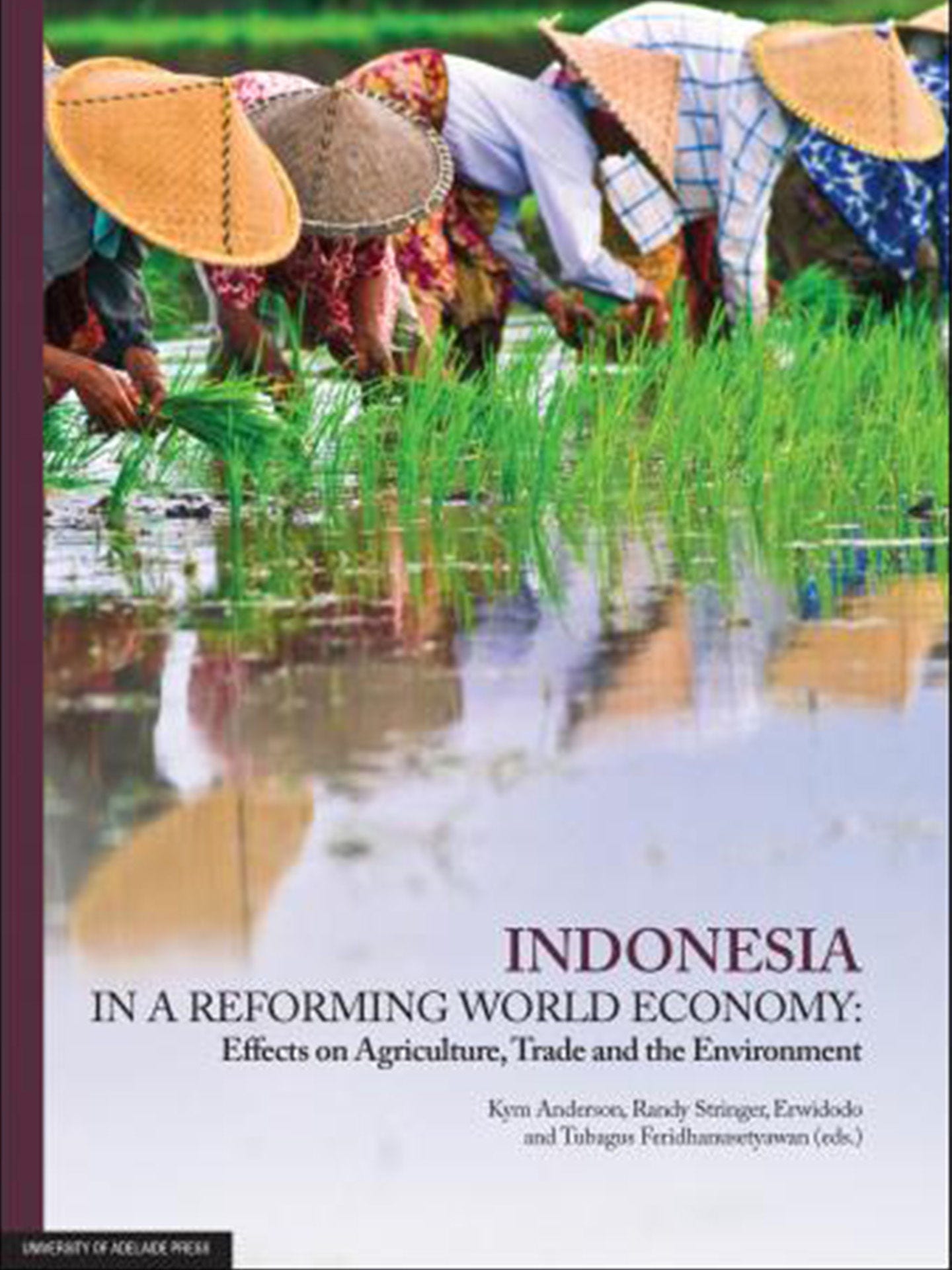 indonesia in a reforming world economy cover