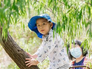 Pilyabilyangga and the Adventure Playground