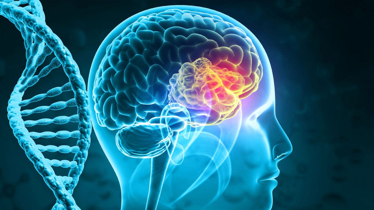 Image of tumour on the brain