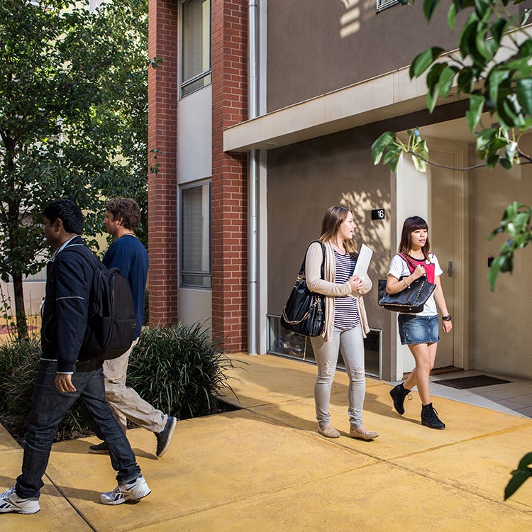 Study | Adelaide University