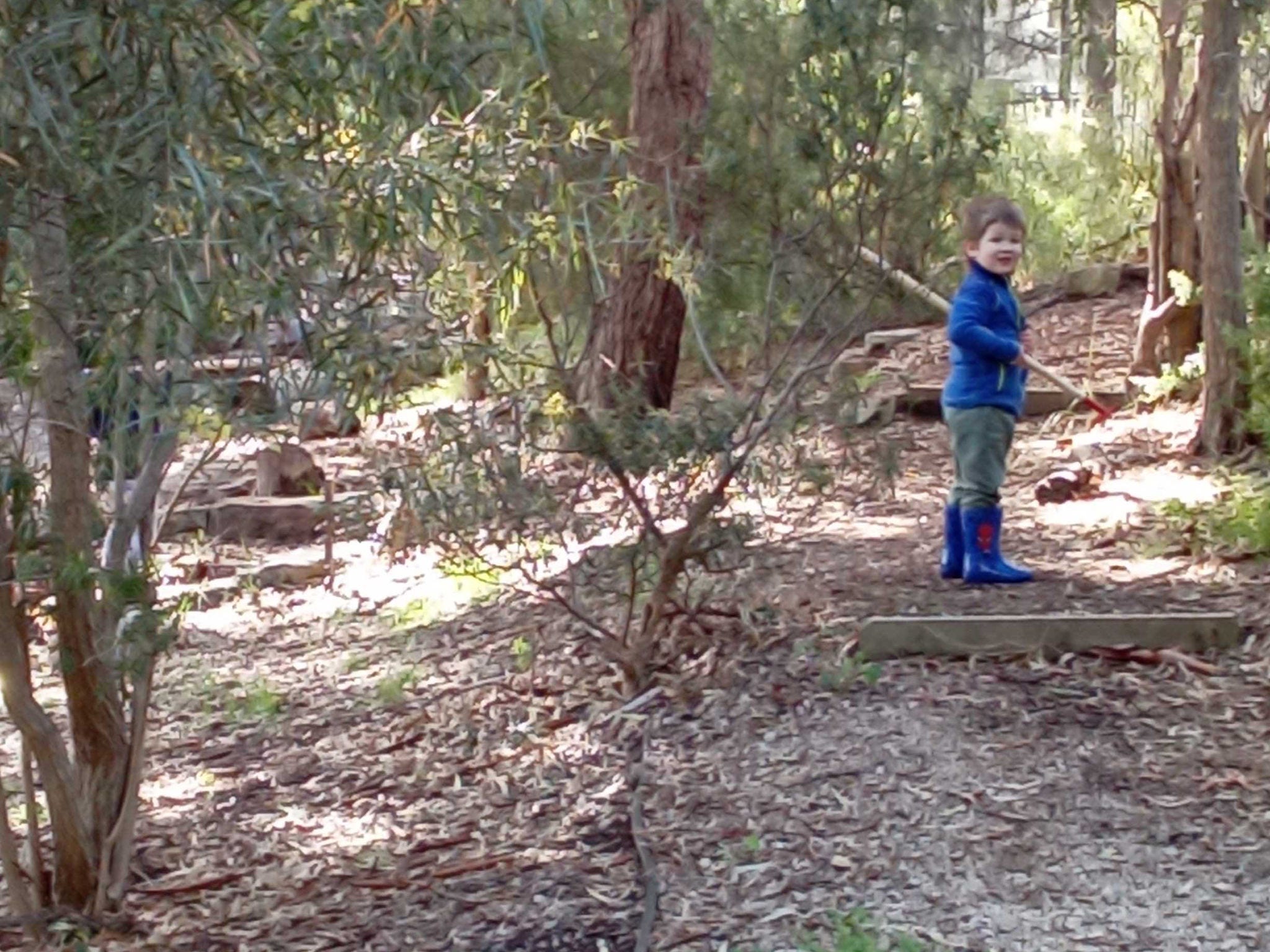 Opens image gallery dialog