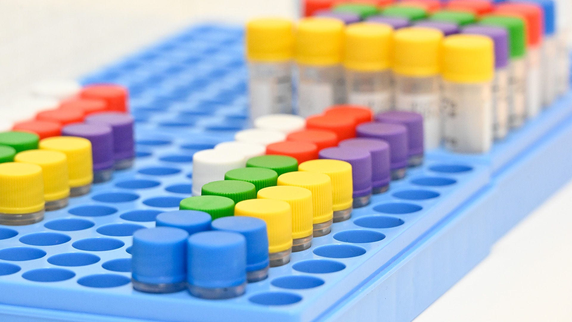 A tray of test tubes