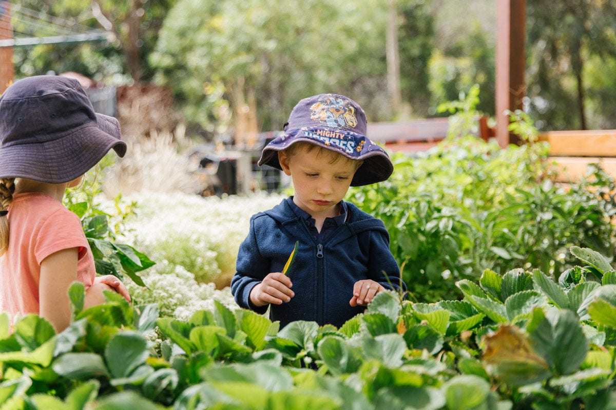 Pilyabilyangga and the Adventure Playground