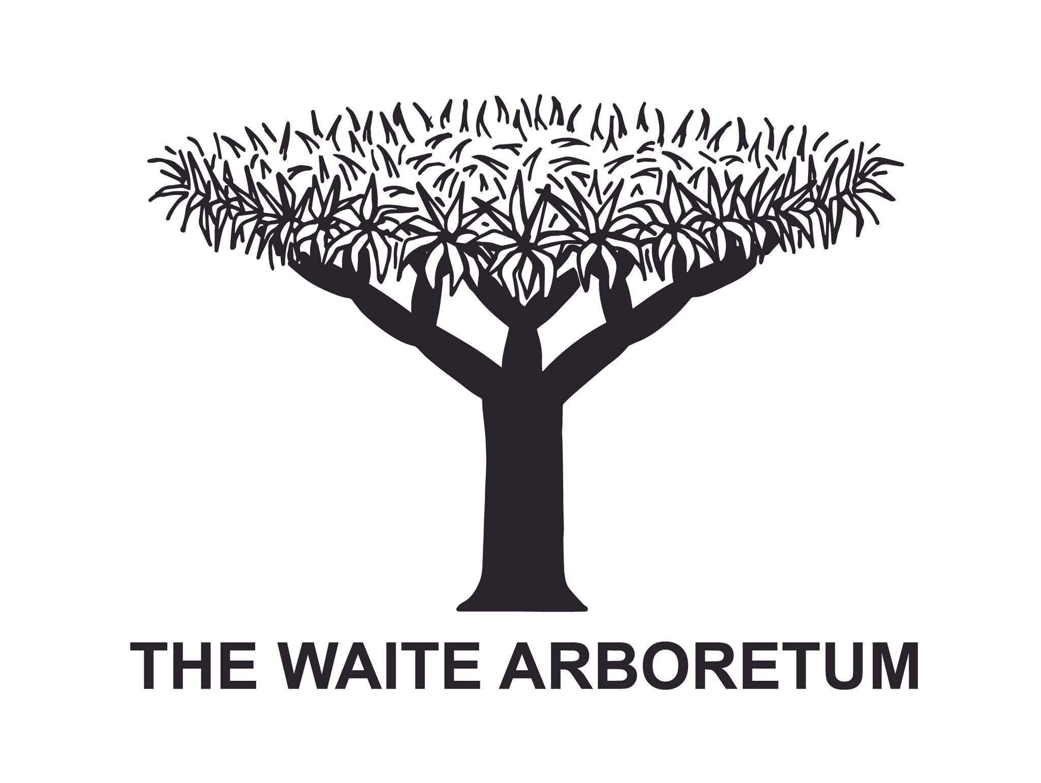 The Waite Arboretum