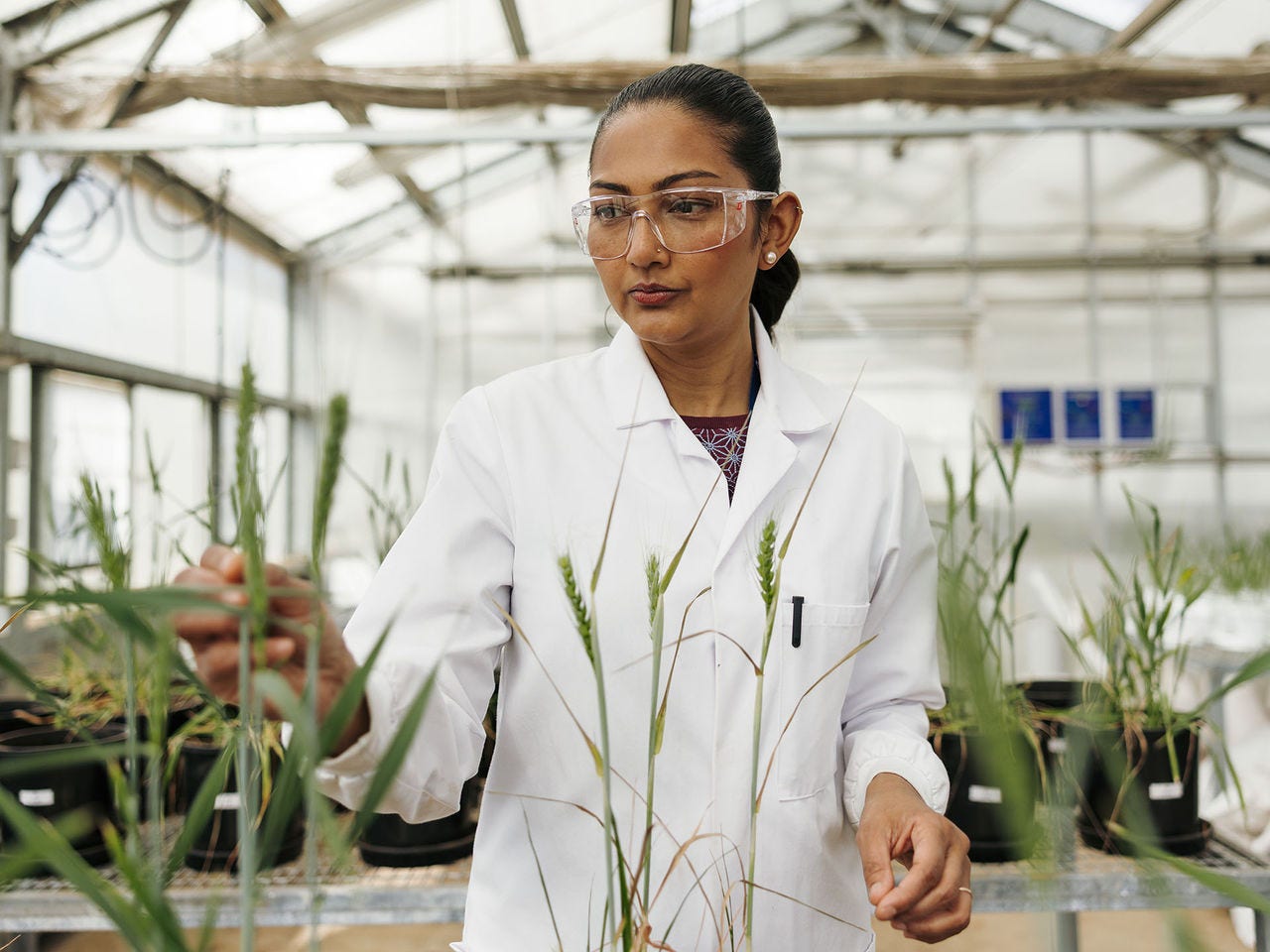 Meet our people Farzana