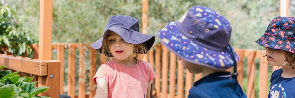 Education for sustainability