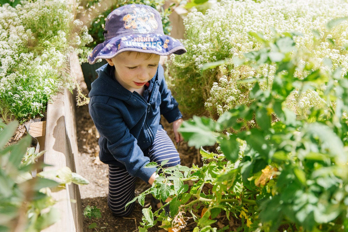Pilyabilyangga and the Adventure Playground