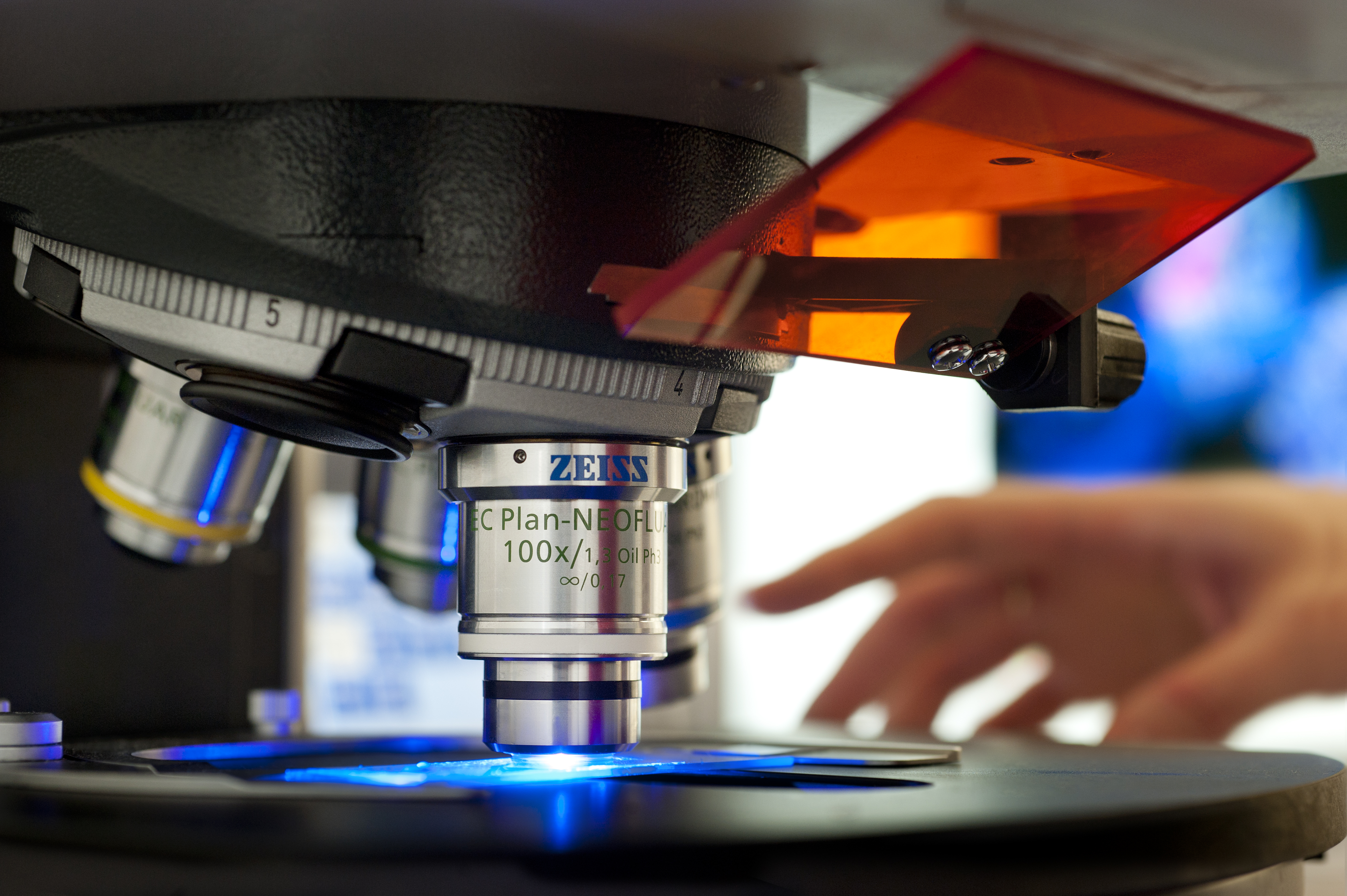 Our research - School of Agriculture, Food and Wine