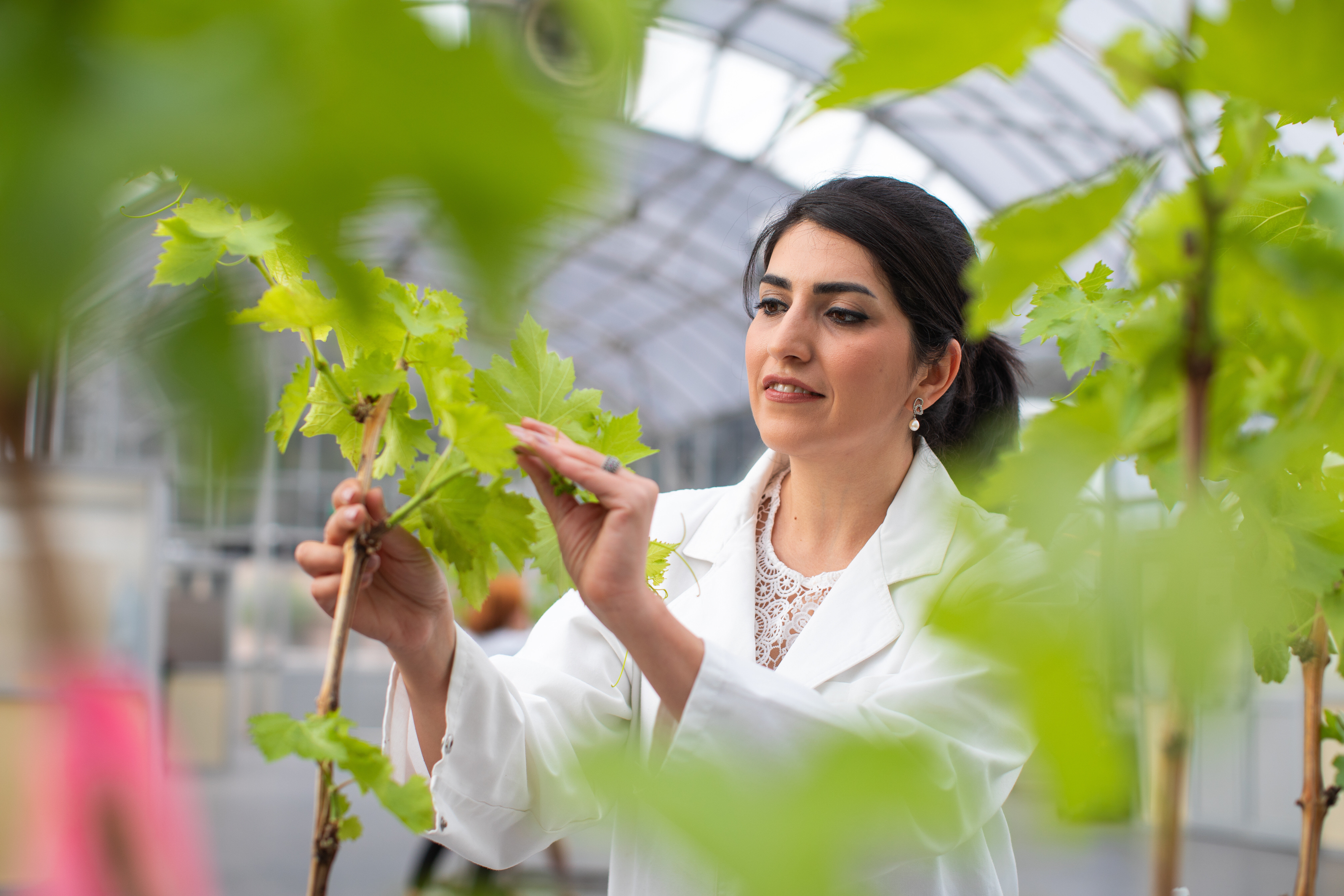 Adelaide University among nation’s leaders for research grants