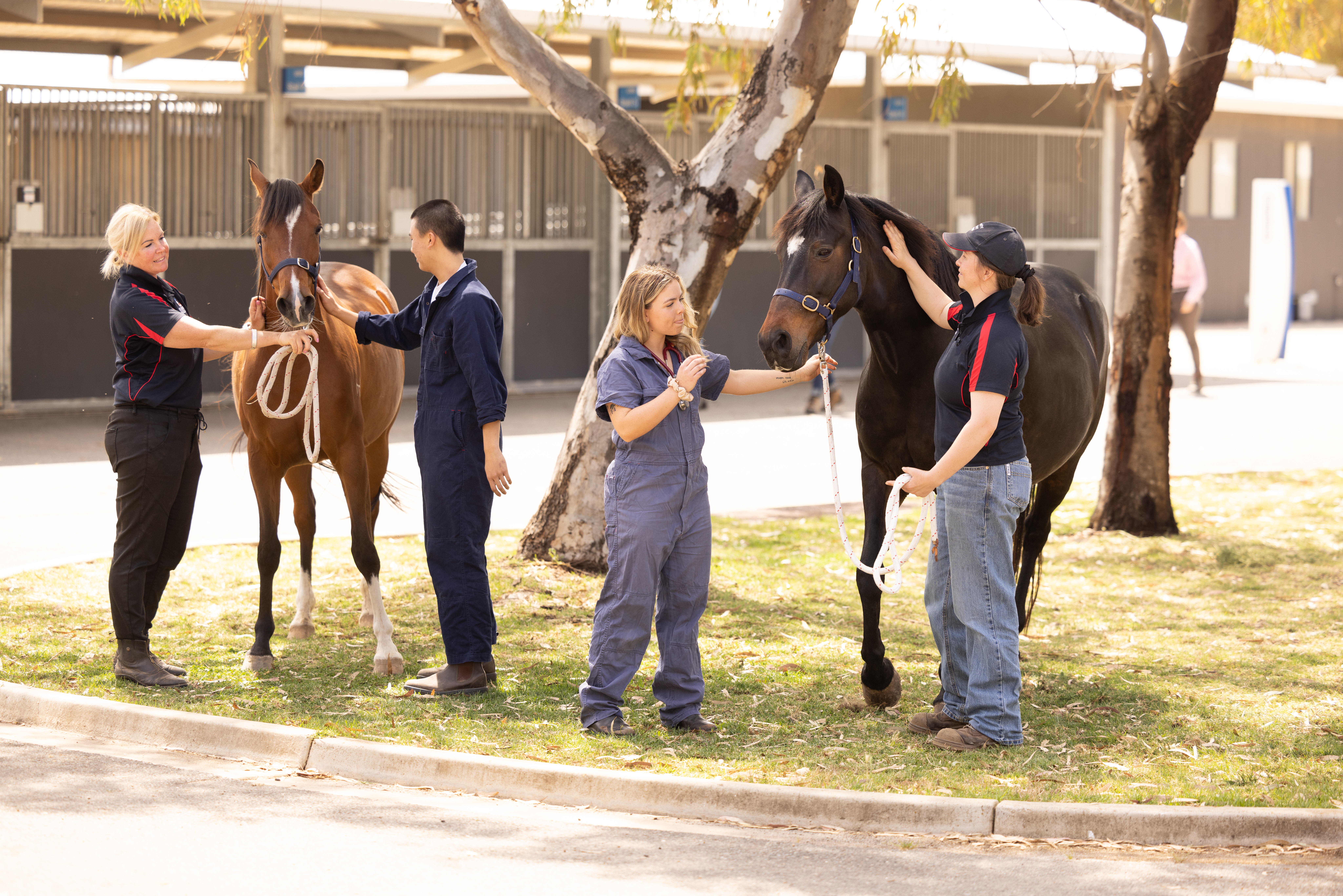 Our research - School of Agriculture, Food and Wine