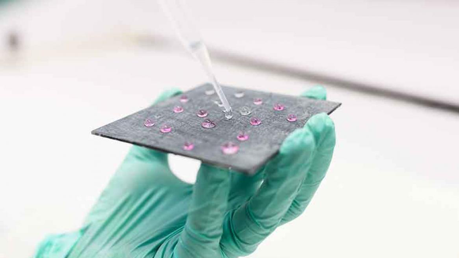 About the School of Chemical Engineering