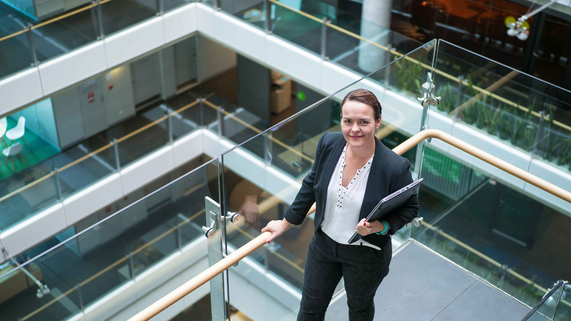 About the School of Management