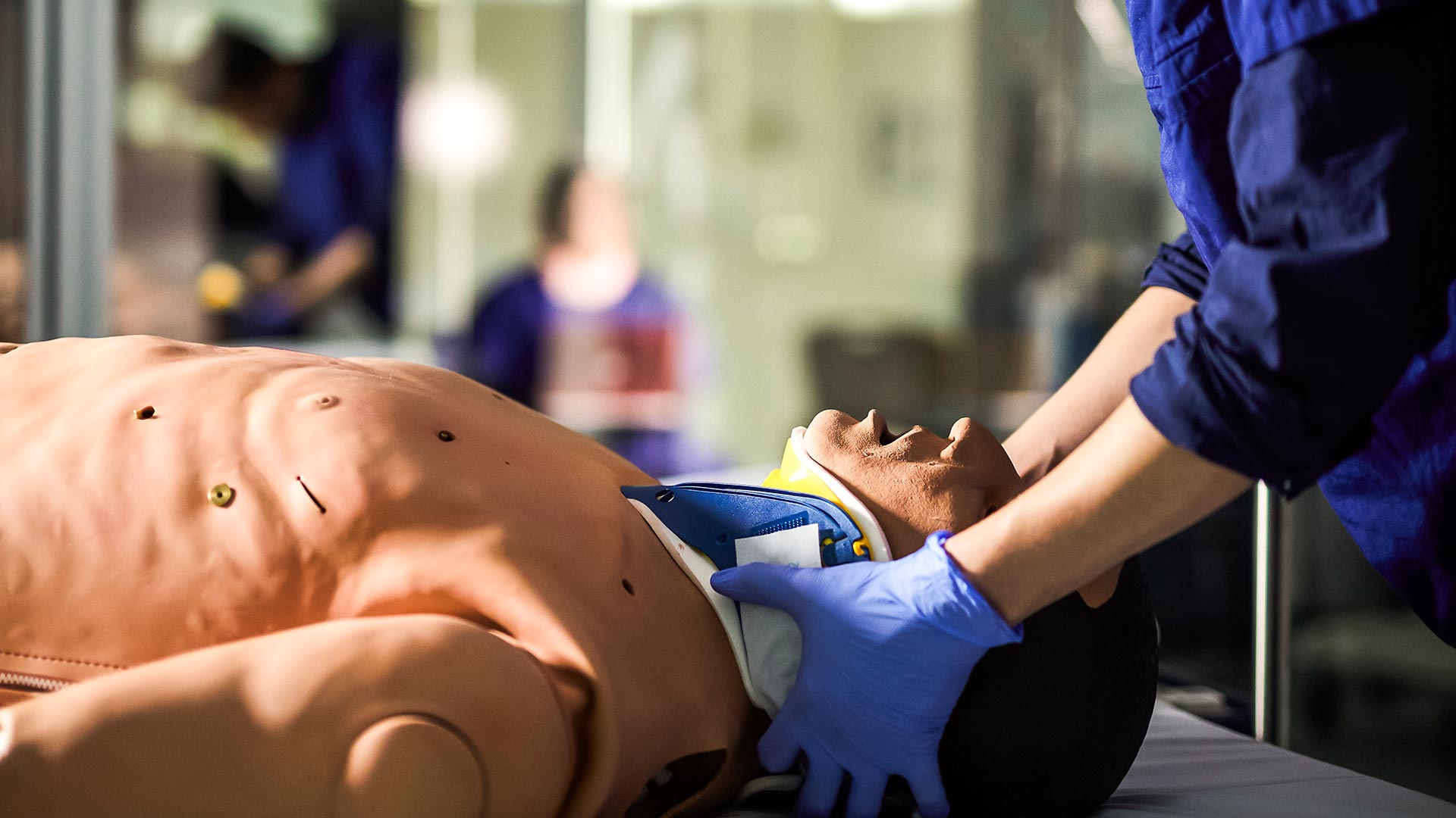 About School of Medicine