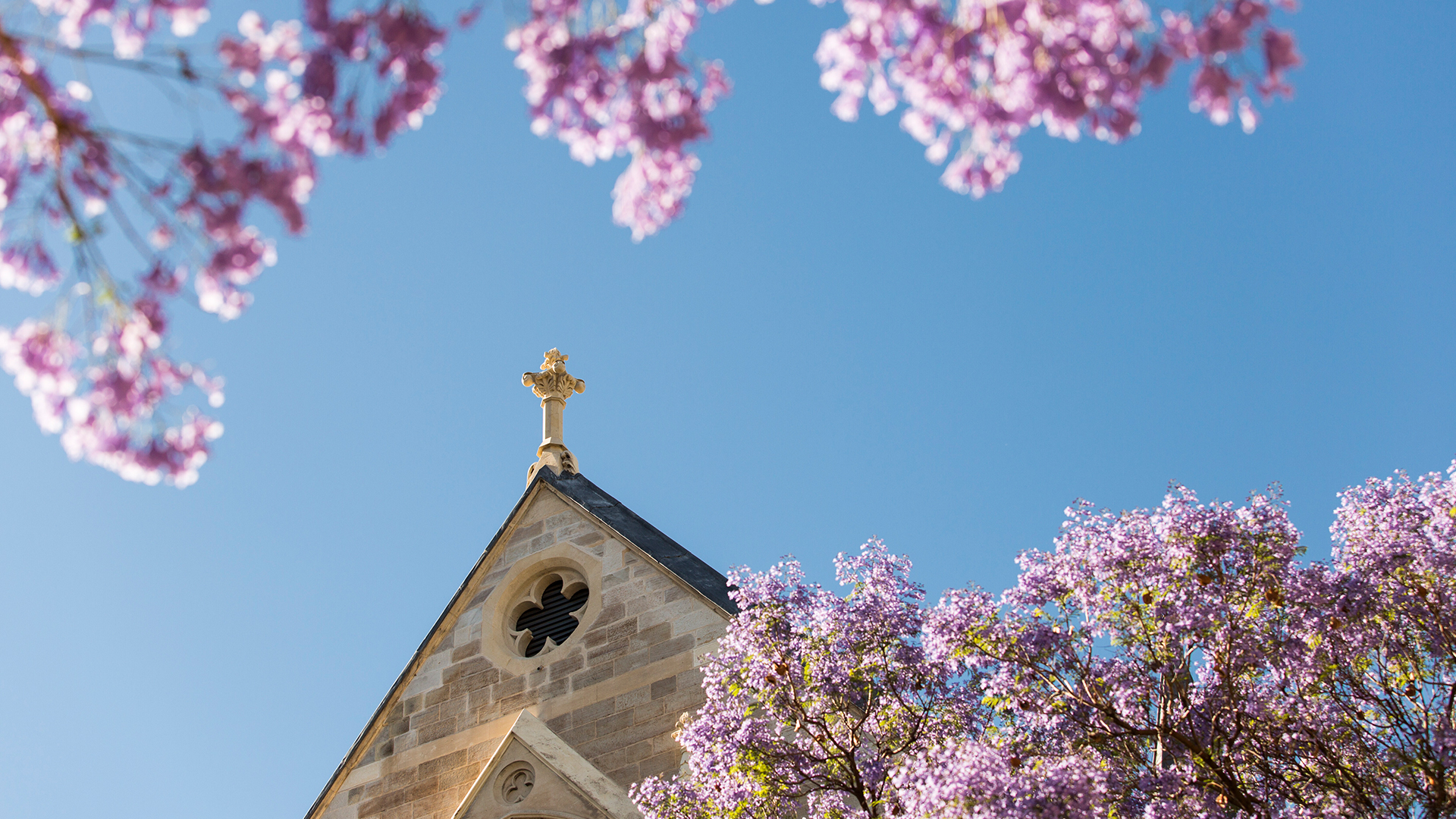 Our people - Pharmacy and Biomedical Science