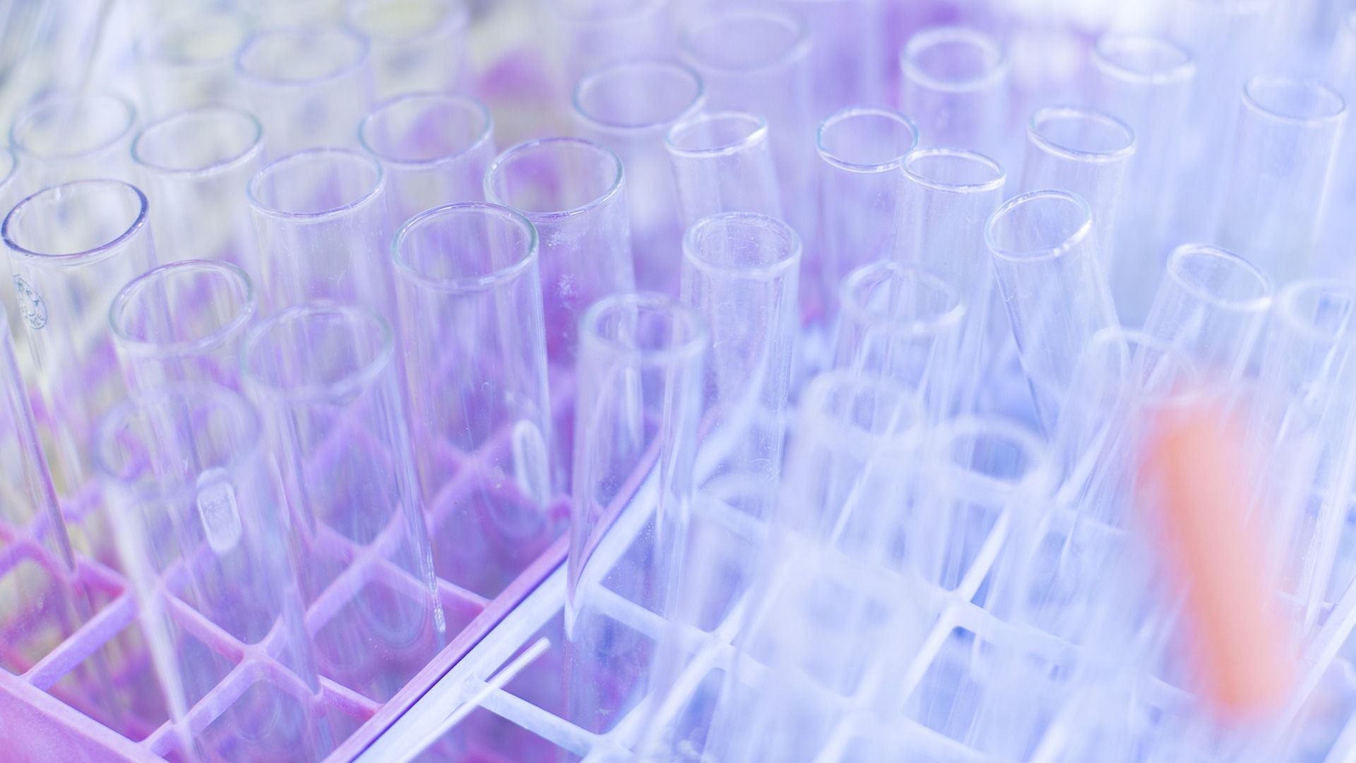 School of Physics, Chemistry and Earth Sciences