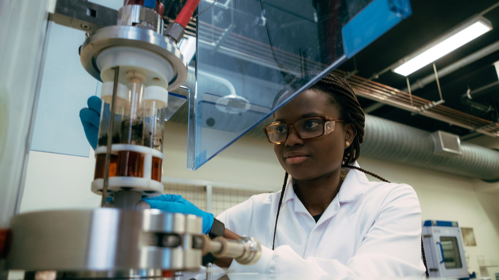 Researcher looking at a specimen