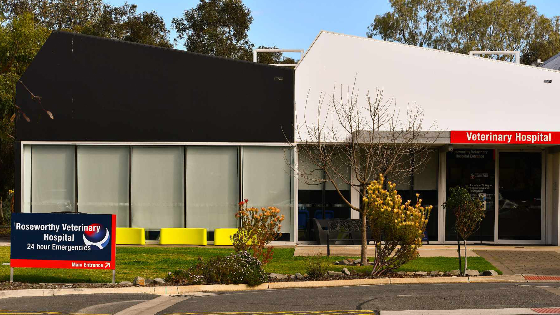 Visiting Roseworthy Veterinary Hospital