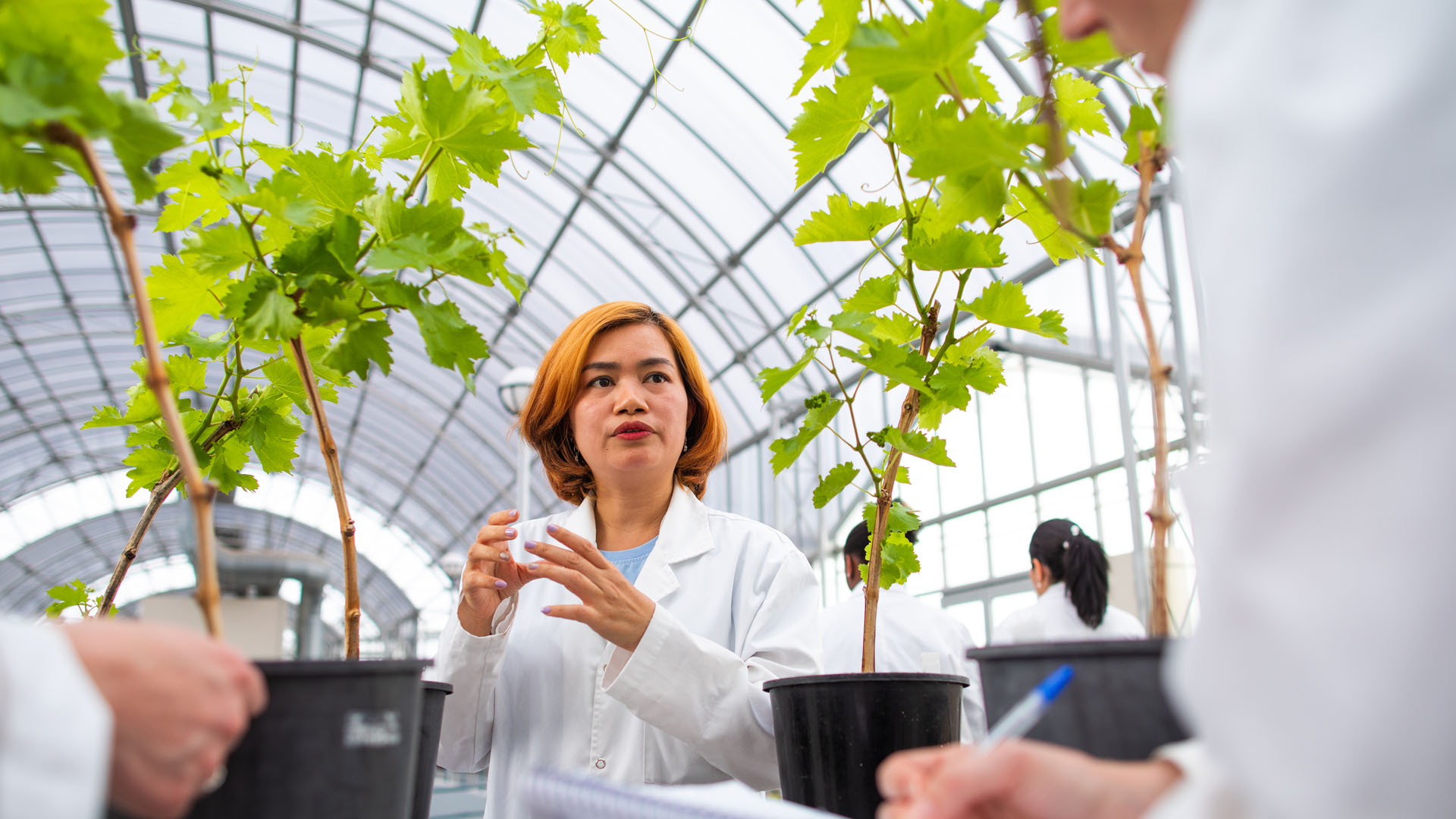 Students and staff on campus