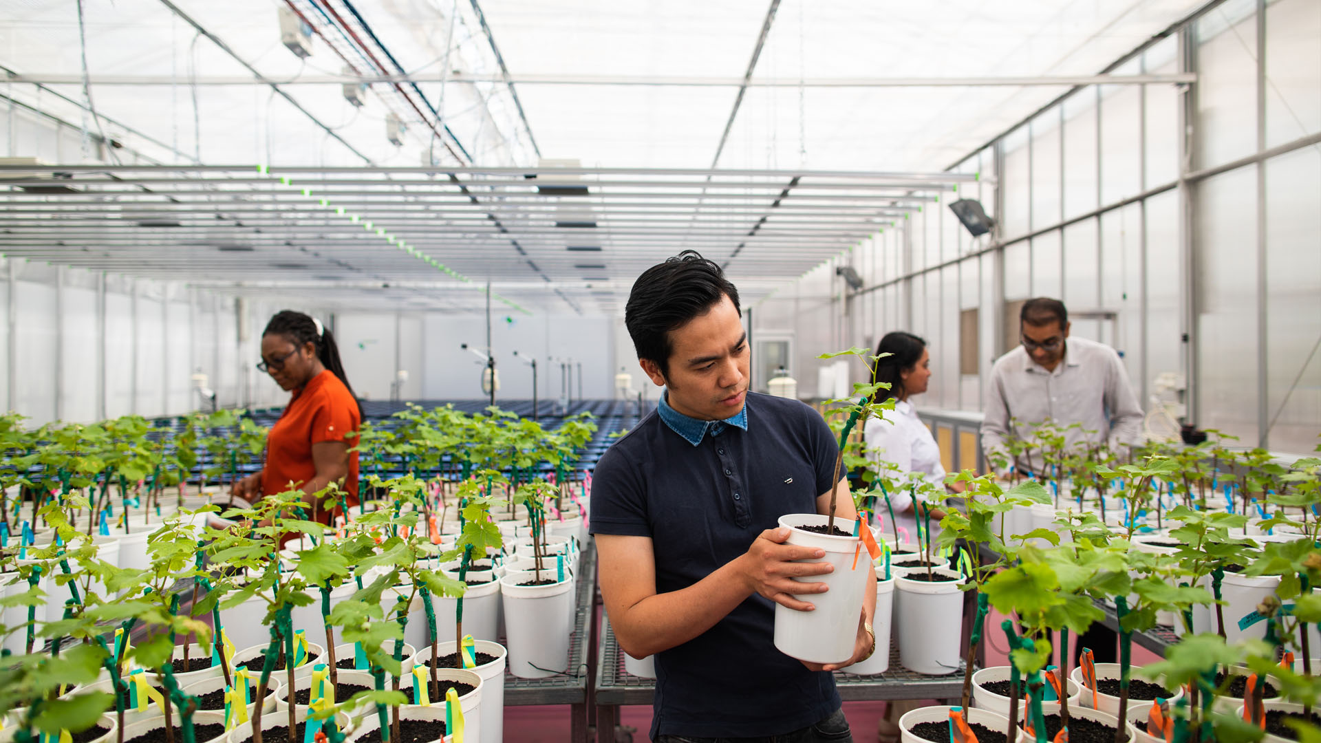 Joint PhD Opportunities