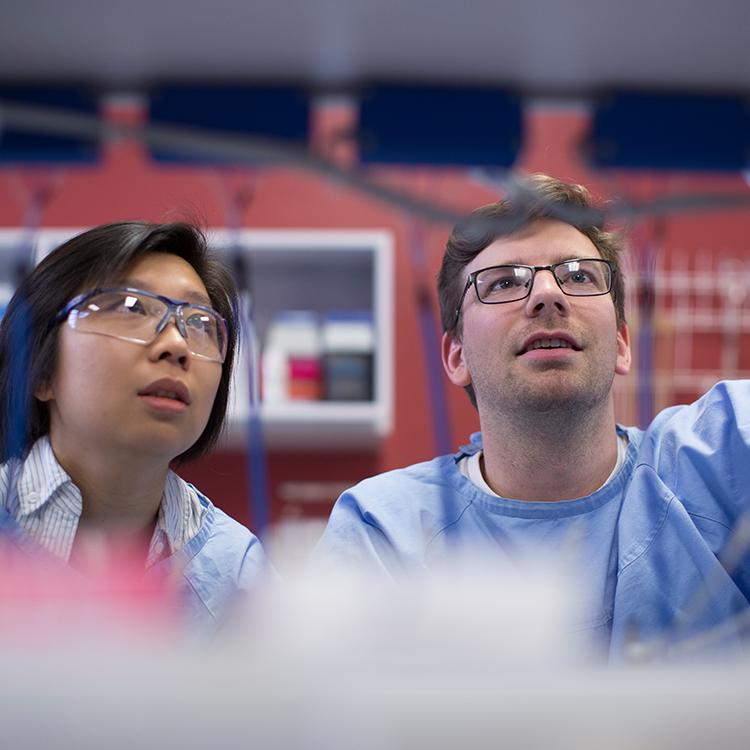 Health & Biomedical Sciences Banner