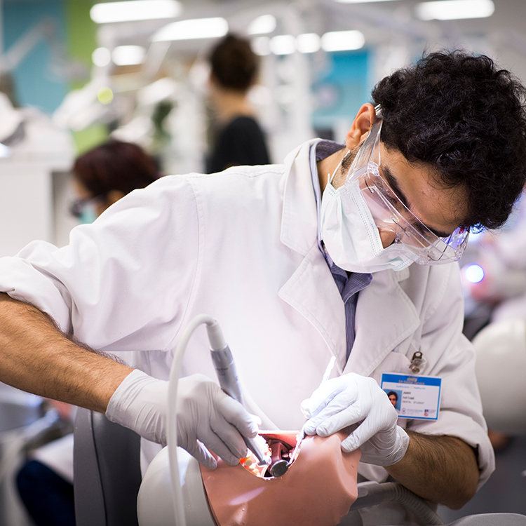 Medicine & Dentistry Banner