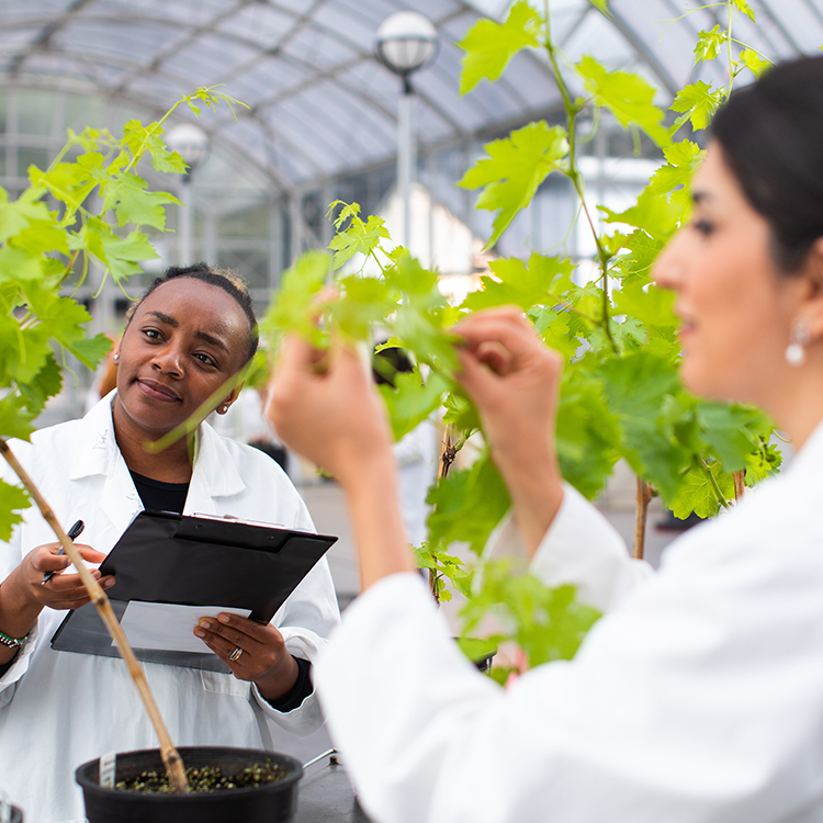 Science, Environment & Sustainability Banner