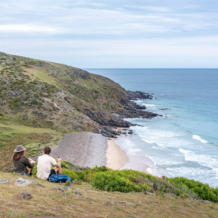 Two students sitting on a large green hill looking at the ocean