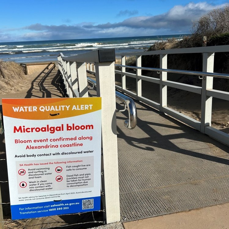 Beach sign warning of algal bloom